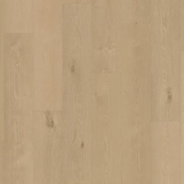 Castell Premium 876 Chatillon Ginger